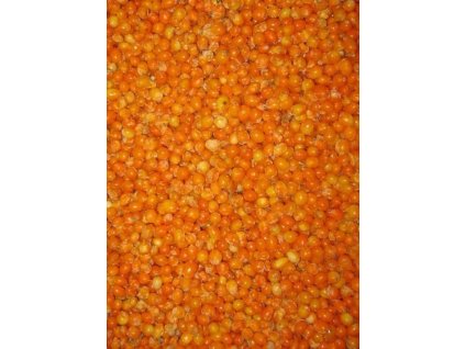 Rakytník mrazený 2,5kg Agro jesenice