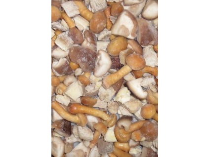 Zmes hubová mrazená 1kg VF