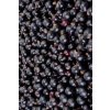 Ríbezle čierne mrazené 2,5kg VF