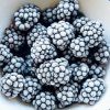 Černice mrazené 2,5 kg Frigoexim