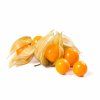 Physalis 100g - CO tr. I