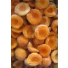 Marhule mrazené 2,5kg VF