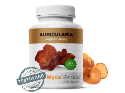 auricularia detail s razitkem 2.3478291057