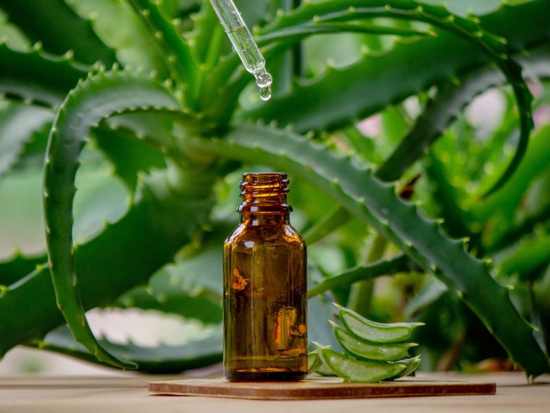 Zázrak přírody na dosah ruky