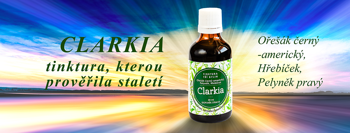 Clarkia