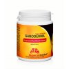 Ganoderma, Duanwood Red Reishi, Extrakt 40 % polysacharidů, 90 kapslí
