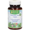 AMRIT KALASH MA-4T bez cukru 60 tablet MAHARISHI AYURVEDA