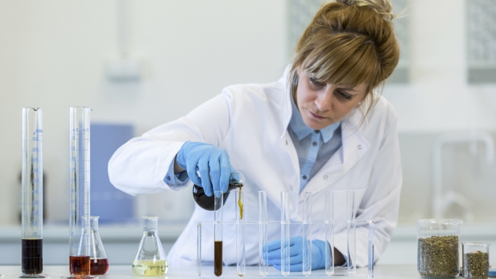 AKO SA VYRÁBA CBD OLEJ?