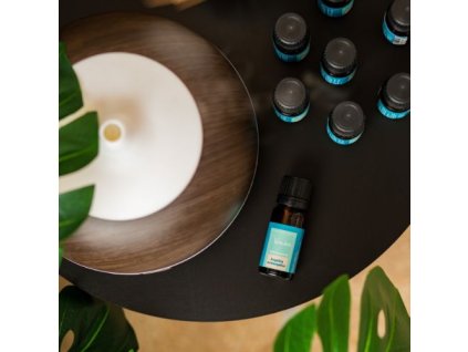 Esenciálny olej Angelika Venoc 10ml