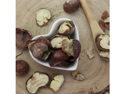 Gaštan, Pagaštan konský - plod celý - Aesculus hippocastanum - Fructus hippocastani 1000 g