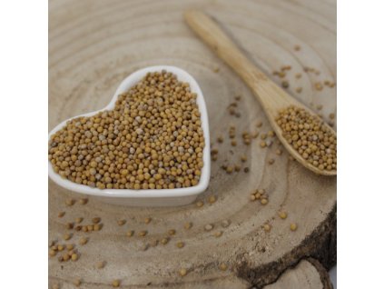 Horčica biela - semeno - Sinapis alba - Semen sinapis 1000 g