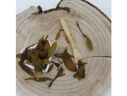 Imelo biele - vňať narezaná - Viscum album - Herba visci albi 1000 g