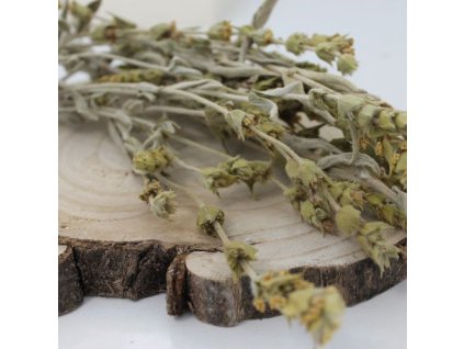 Mursalský čaj, ranhoj horský - vňať - Sideritis scardica - Herba sideritis scardica 1000 g