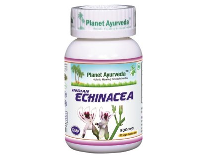 Planet Ayurveda INDICKÁ ECHINACEA (Právenka Latnatá) 60 kapsúl