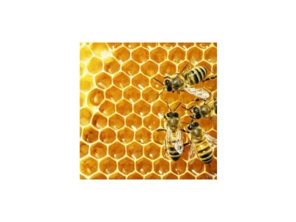 Včelí vosk Cera Alba 100% Bio Alteya 60g USDA ORGANIC