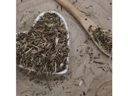 Zádušník brečtanovitý - vňať narezaná - Glechoma hederacea - Herba hederae terrestris 50 g