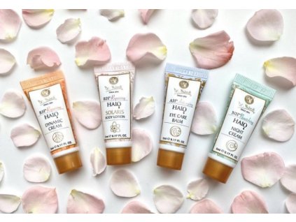 514851918 1110932191085312 8618377704774885509 n