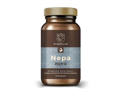 download 2026 01 31T160005.498