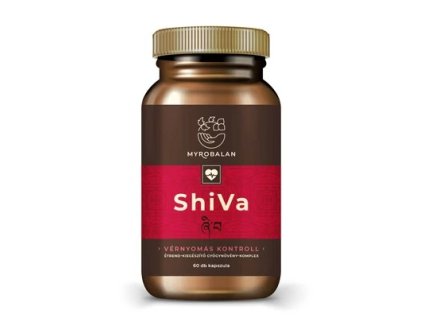 download 2026 01 31T160005.301