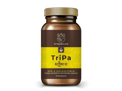 download 2026 01 31T160835.625