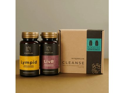 download 2026 01 31T155452.166