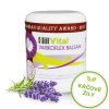 Hillvital Balzam Varikoflex na kŕčové žily 250 ml