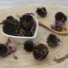 Echinacea purpurová - kvet celý - Echinacea purpurea - Flos echinaceae 1000 g