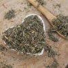 Nátržník strieborný - vňať narezaná - Potentilla argentea - Herba potentillae argentii 50 g