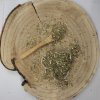 Palina pravá - vňať narezaná - Artemisia absinthium - Herba  artemisiaiae absinthium 1000 g