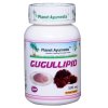 Planet Ayurveda GUGULLIPID 60 kapsúl