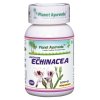 Planet Ayurveda INDICKÁ ECHINACEA (Právenka Latnatá) 60 kapsúl