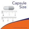 Super Enzymes Caps Size