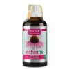 Finclub Echinfis 100 ml