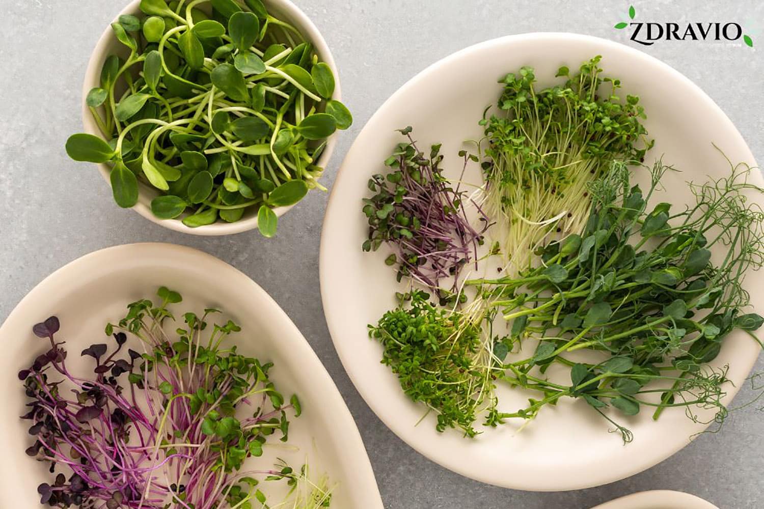 Úvod do klíčkovania