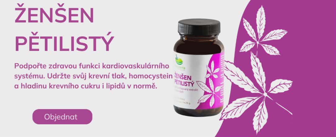 Ženšen pětilistý