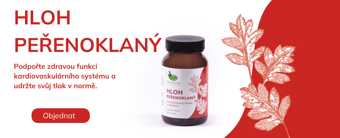 Hloh peřenoklaný