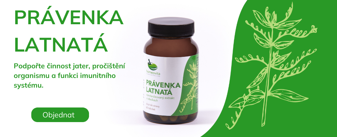 Právenka latnatá