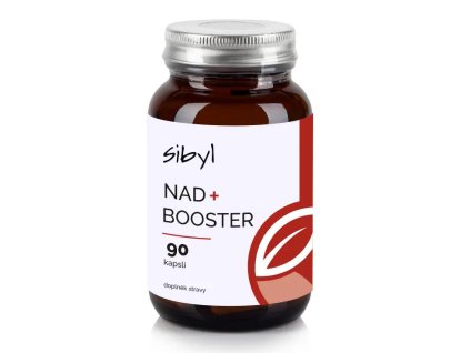 NAD+ Booster SIBYL 90 cps.