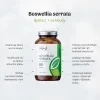 boswellia serrata silny extrakt.1779621423