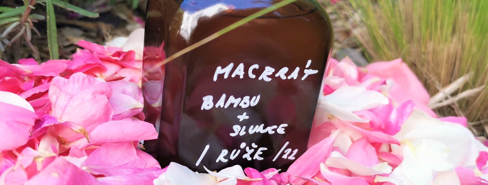 Macerace bylin krok za krokem