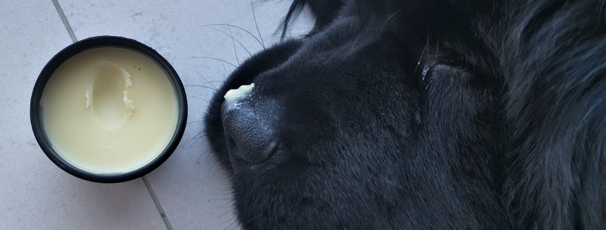 Recept: Mast na tlapky