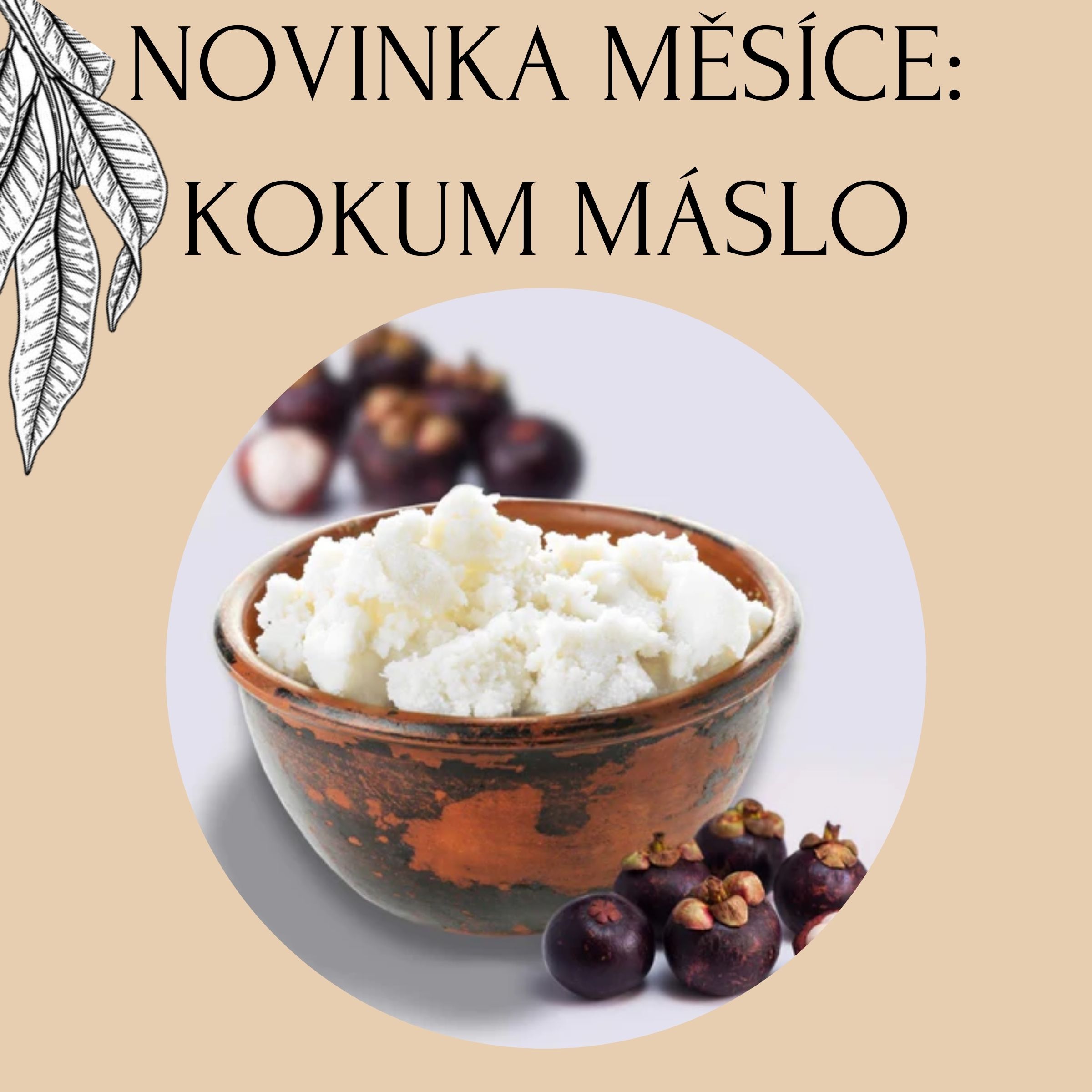 Novinka měsíce