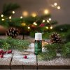 Vánoční stromeček – směs BIO esenciálních olejů (skleněná lahvička 10 ml)