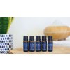 630819 wb aromatherapy mix og