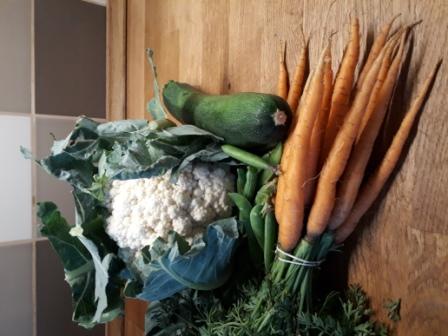 Vaříme nejmenším s květákem- první příkrm