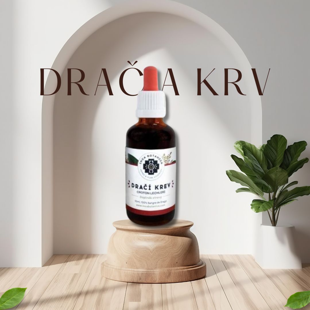 Dračia krv: Prírodná náhrada za bežné lieky? Pozrite sa, čo na to hovorí veda