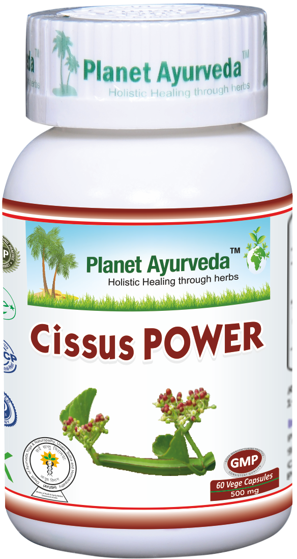 Cissus-power-zdravoradka