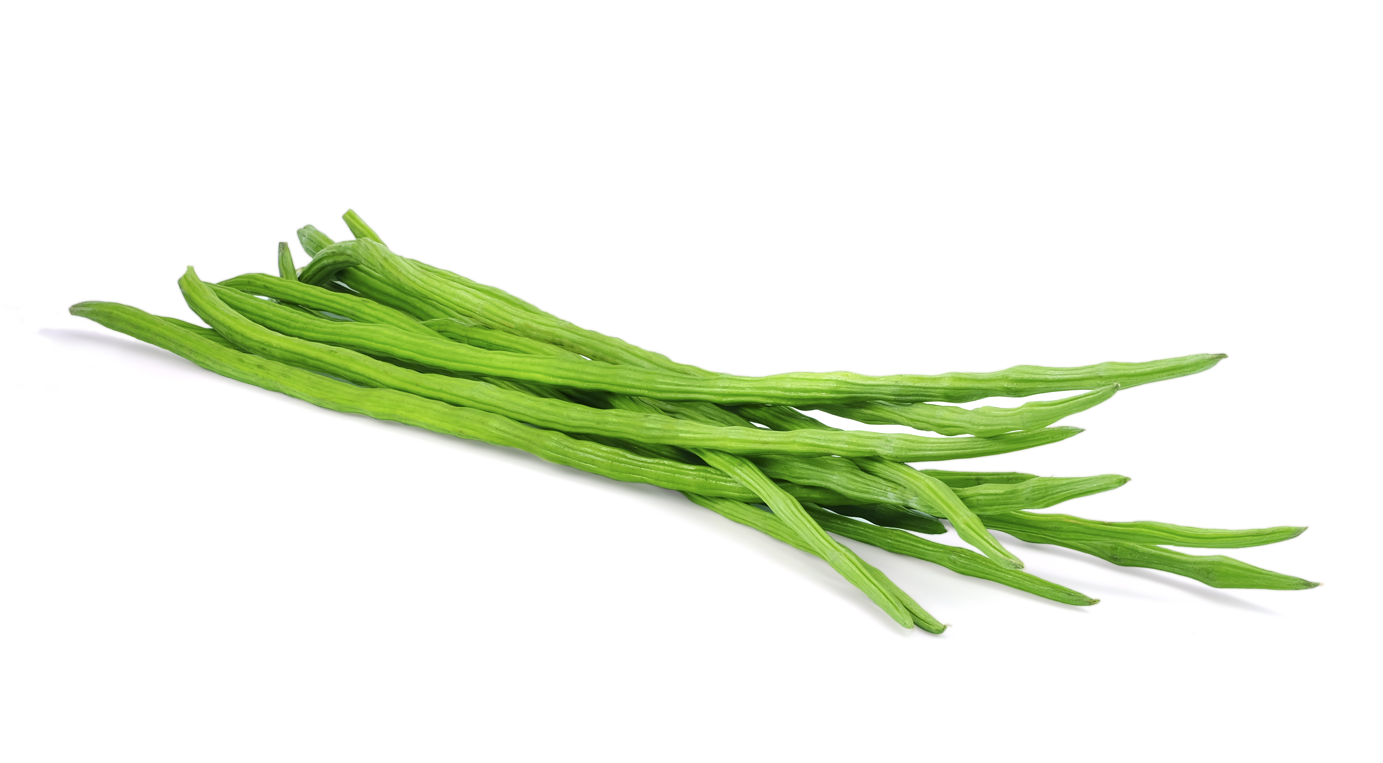 moringa-struky