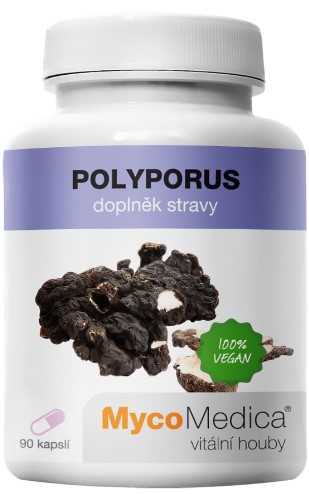 polyporus-zdravoradka