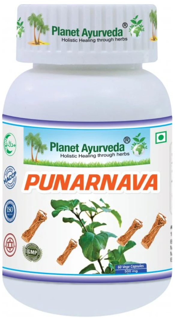 punarnava